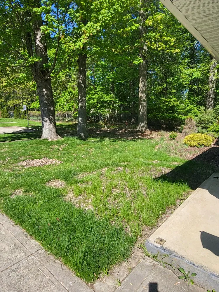 Professional landscape installation for year-round maintenance in Timberlake, OH by RJH Lawn Care
