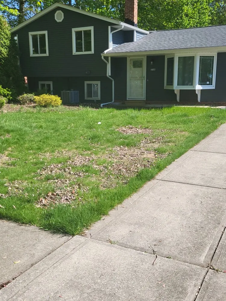 Expert landscaping services near you in Timberlake, OH by RJH Lawn Care