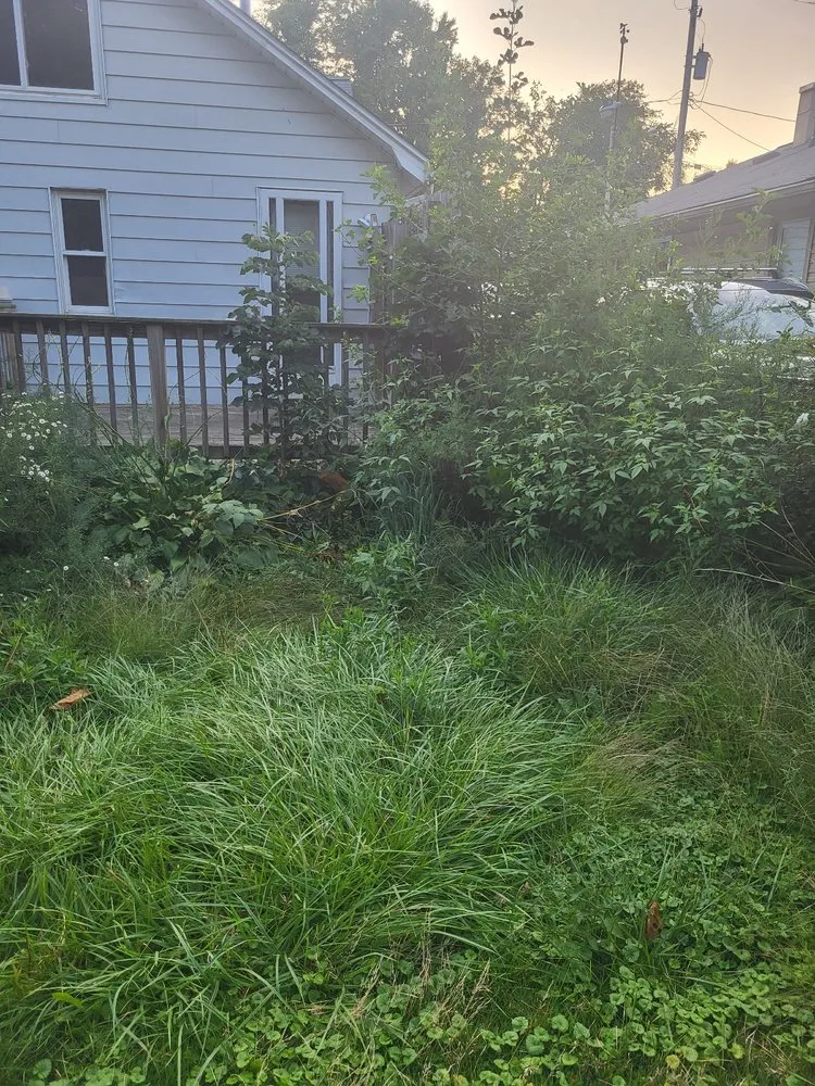 Professional landscaping services for year-round maintenance in Timberlake, OH by RJH Lawn Care