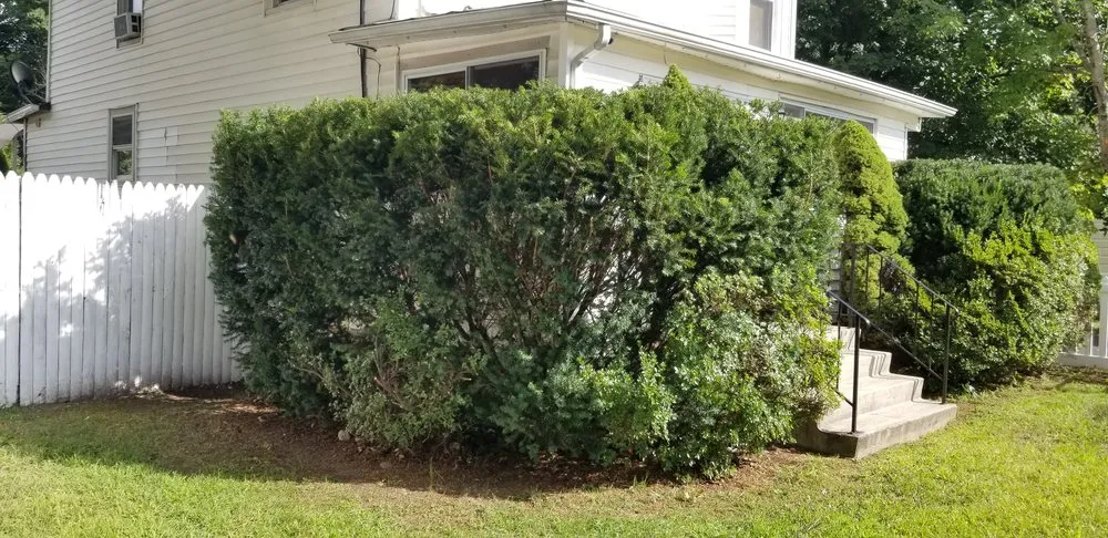 Affordable yard maintenance with custom design across Middletown, NY - RJJ Elite Lawn Care