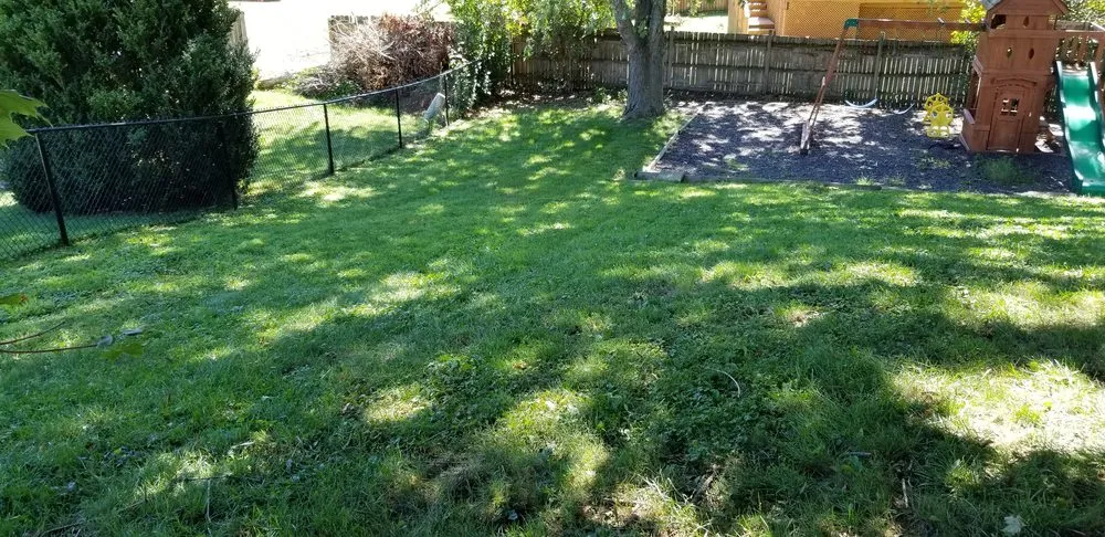 Trusted lawn mowing service in Middletown, NY by RJJ Elite Lawn Care