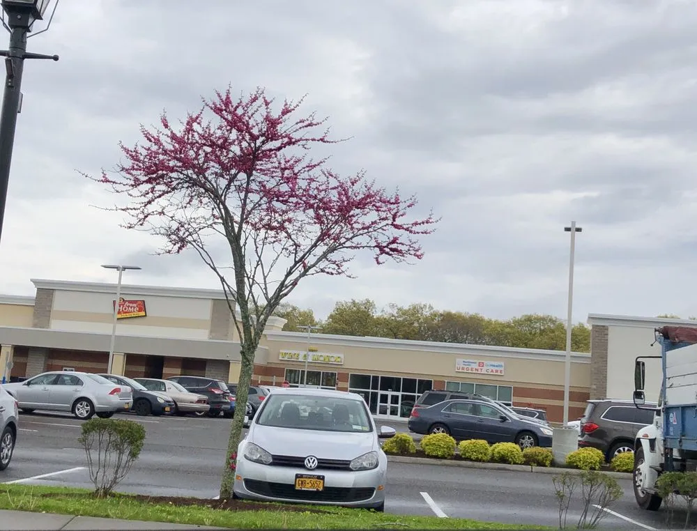 Custom garden landscaping for residential properties across Saint James, NY - R.J.K. Gardens