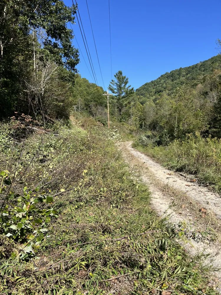 Local landscape design experts serving Lake, WV - RJK