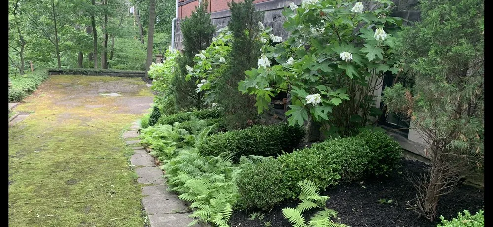 Professional yard maintenance in Pittsburgh, PA - RJK Landscape Designs