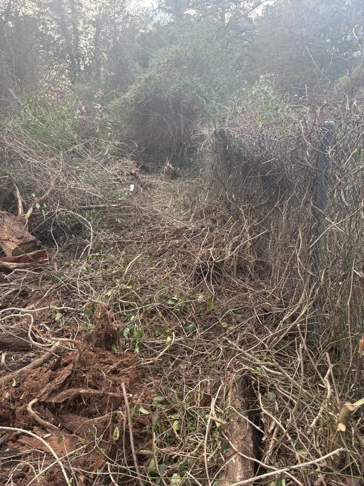 Reliable yard cleanup service in Leonardtown, MD by RJK Services