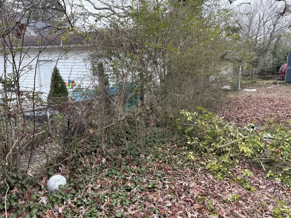 Custom yard maintenance for beautiful yards in Leonardtown, MD by RJK Services