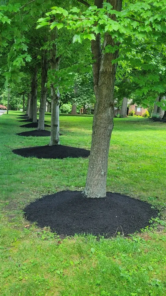 Trusted lawn mowing service for beautiful yards in Pemberton, NJ by RJL Lawn And Landscape