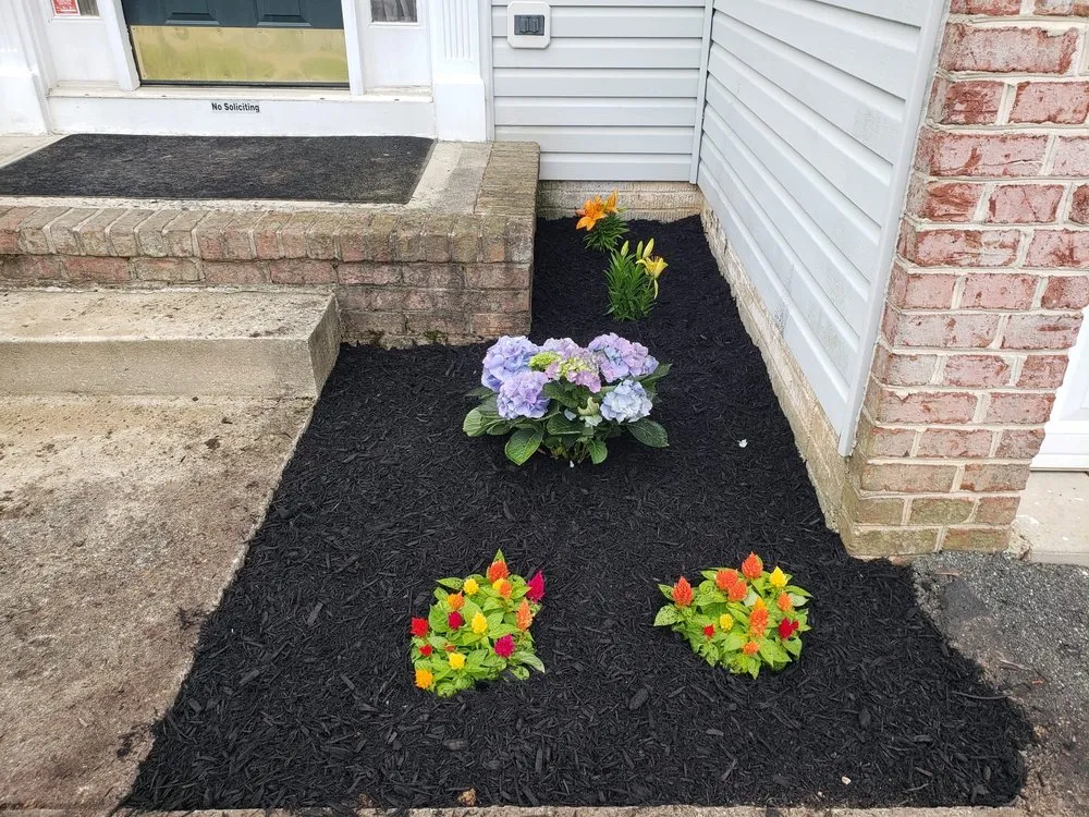 Top-rated yard cleanup service in Baltimore, MD - RJM General Contractor & Landscaping