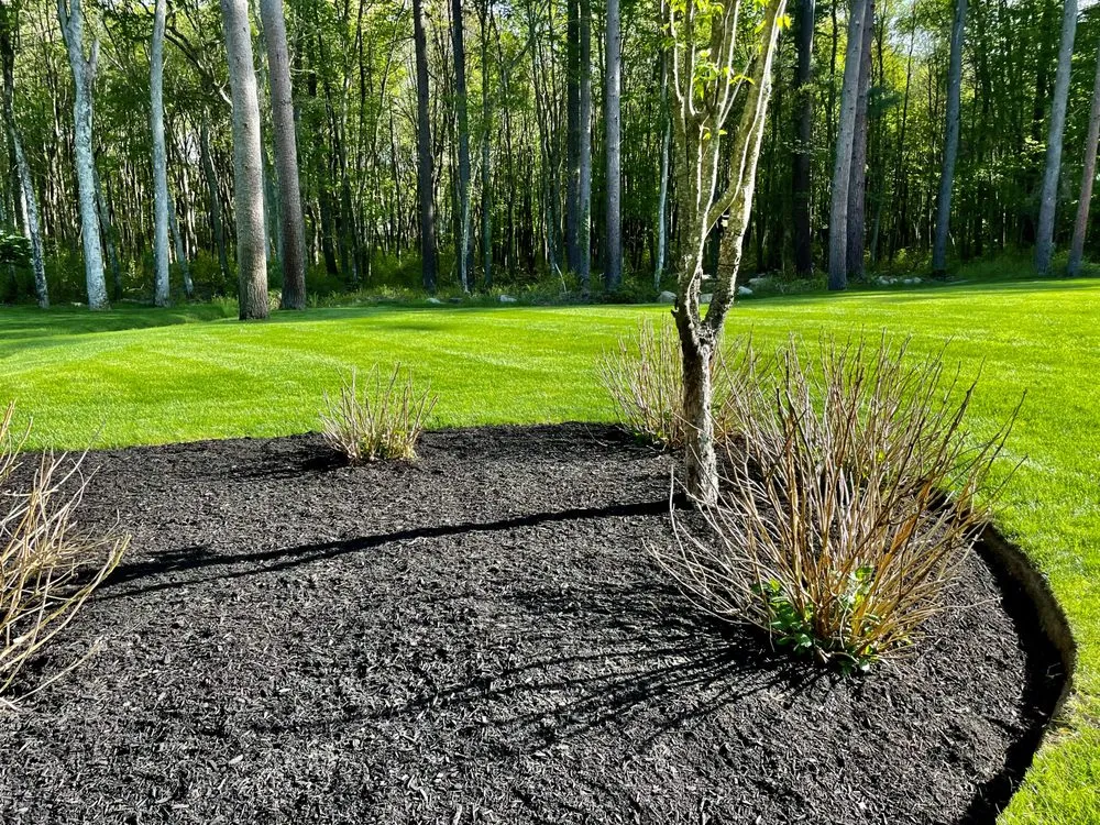 Local yard cleanup service with custom design in Hanover, MA by RJM Landscape