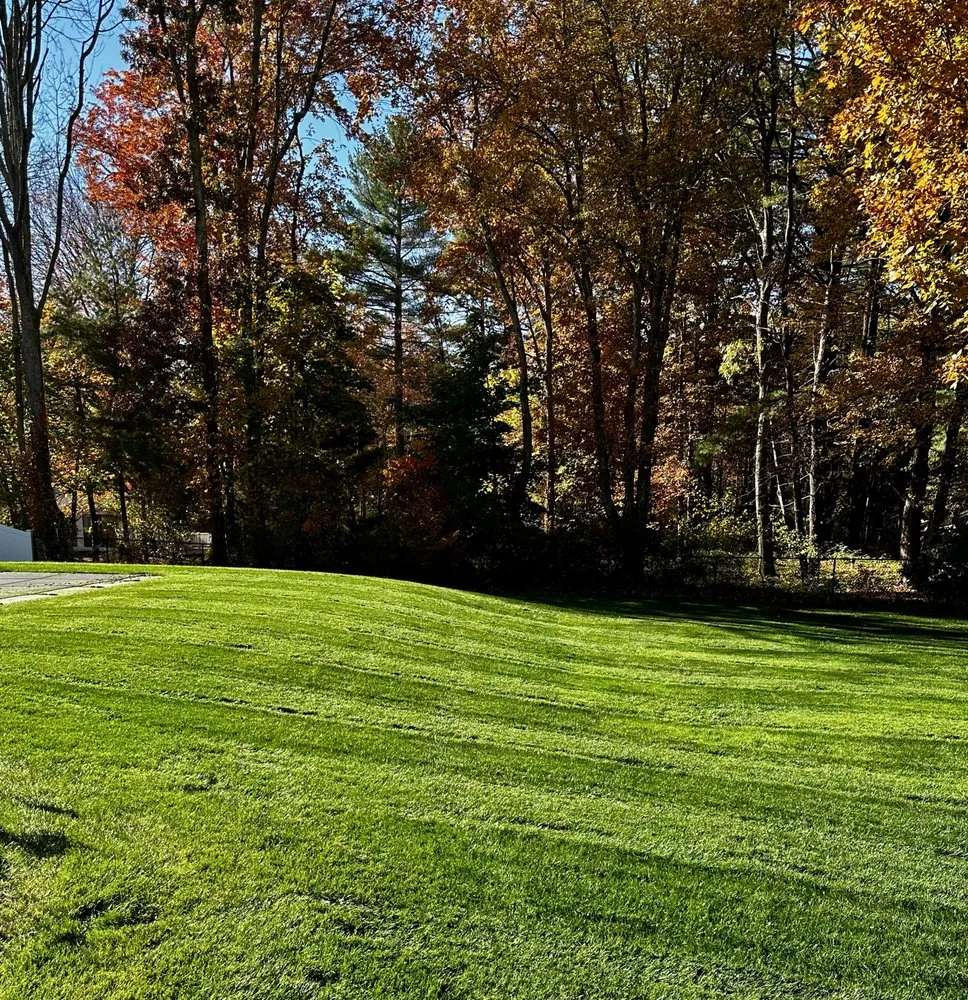 Trusted lawn care service for year-round maintenance in Hanover, MA by RJM Landscape