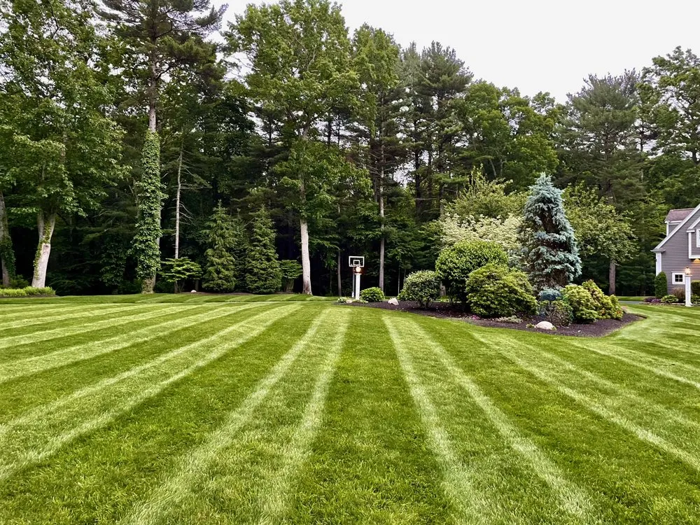 Local lawn mowing service experts serving Hanover, MA - RJM Landscape