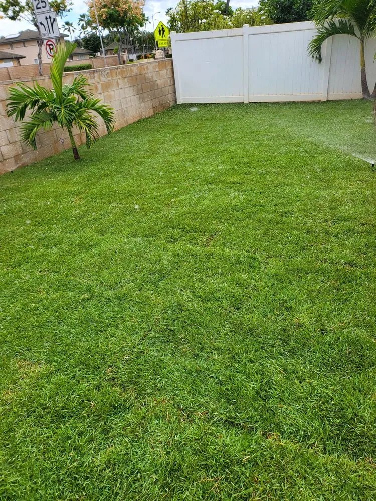 Top-rated lawn care service in Wahiawa, HI - RJP Landscaping & Services