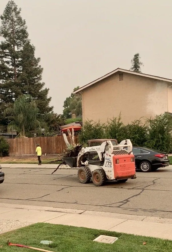 Top-rated yard maintenance for homes across Lodi, CA - RJQ Landscape and Design