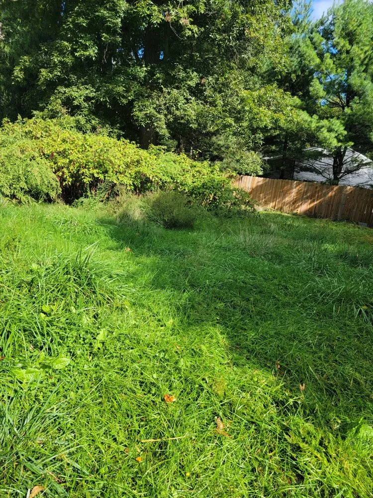 Reliable yard cleanup service in Carlisle, PA - RJR Landscaping