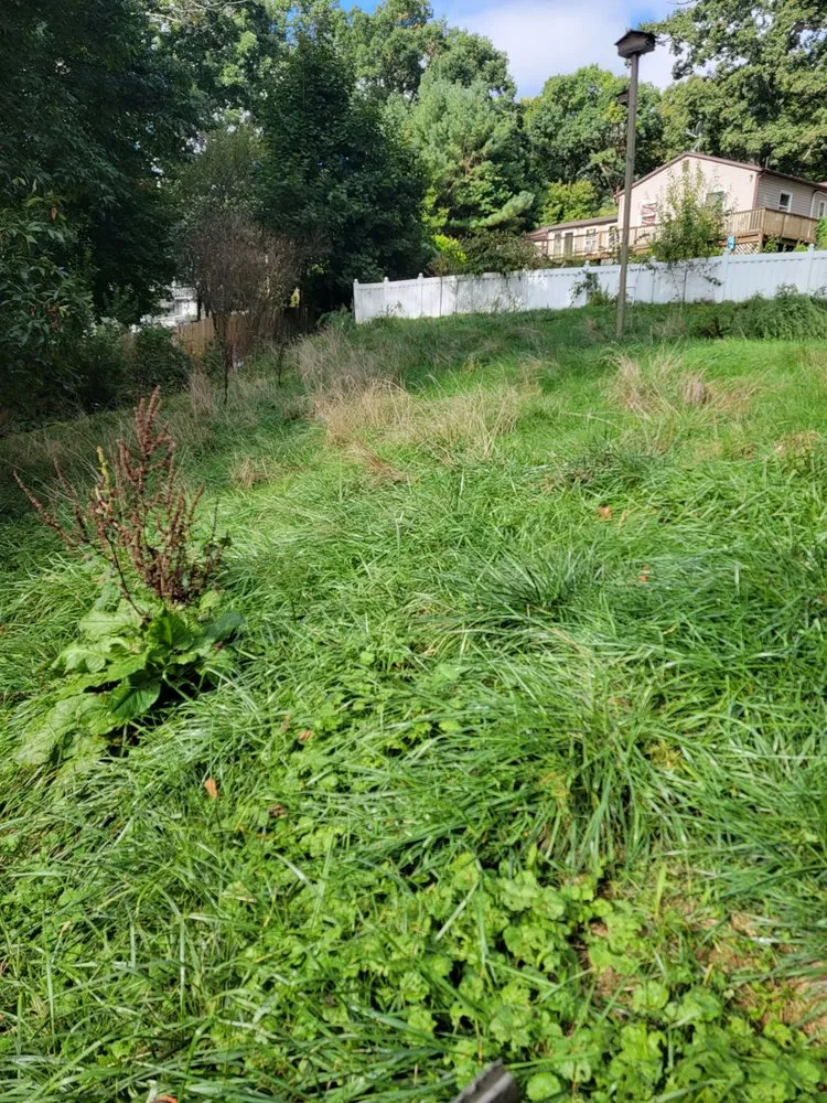 Custom landscaping services experts serving Carlisle, PA - RJR Landscaping