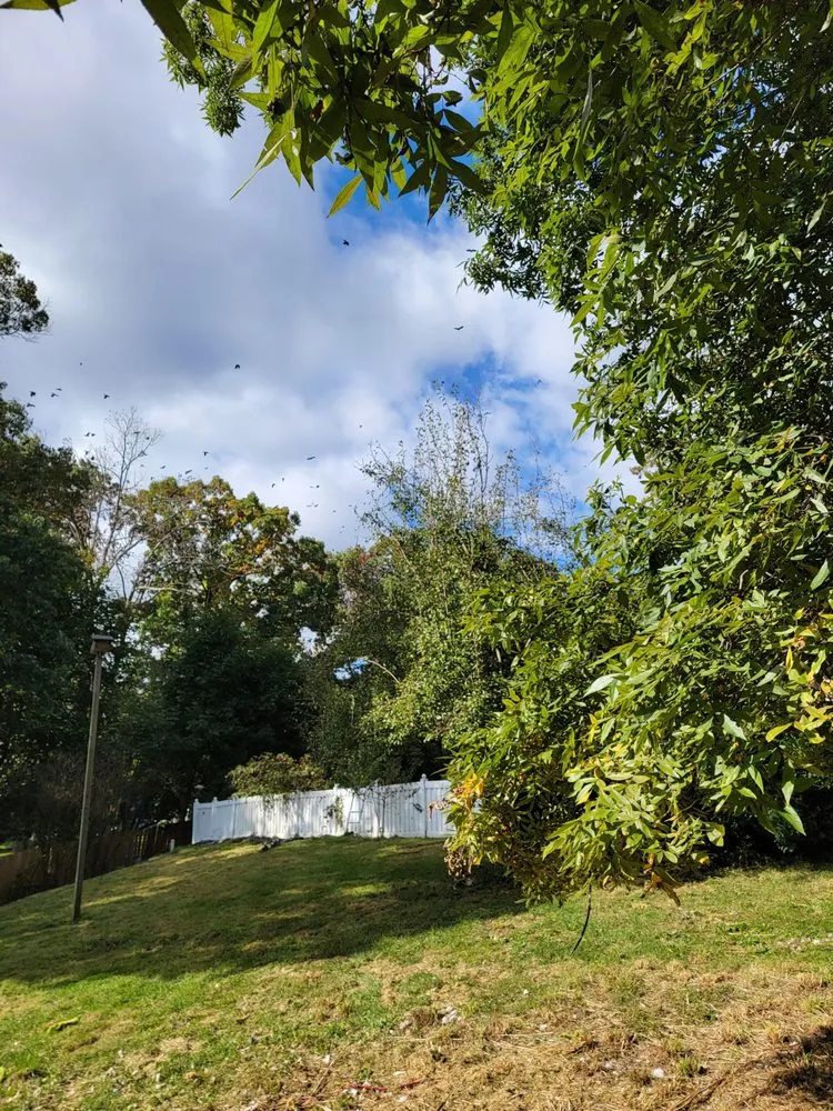 Custom landscaping services experts serving Carlisle, PA - RJR Landscaping