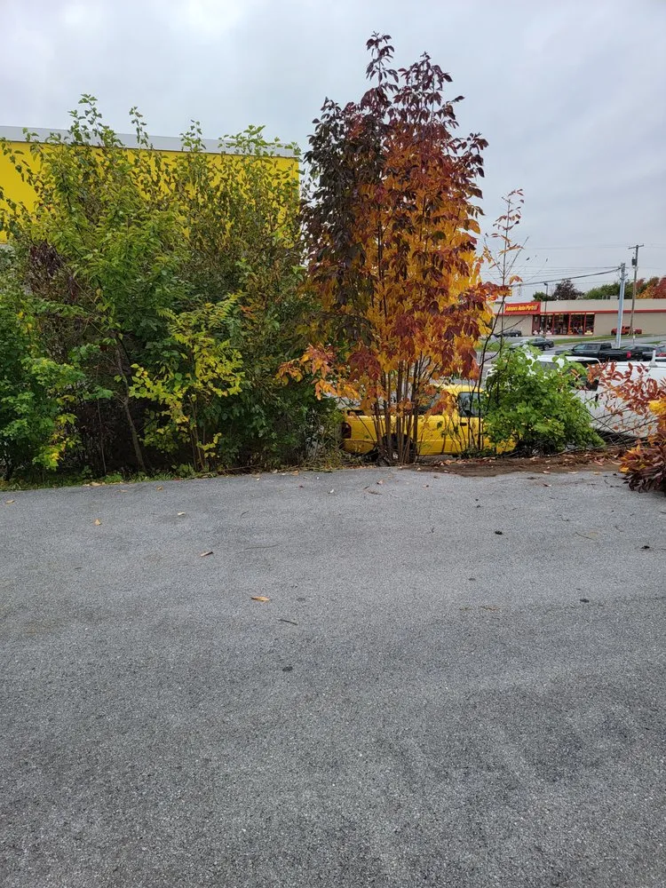 Professional outdoor landscaping experts serving Carlisle, PA - RJR Landscaping