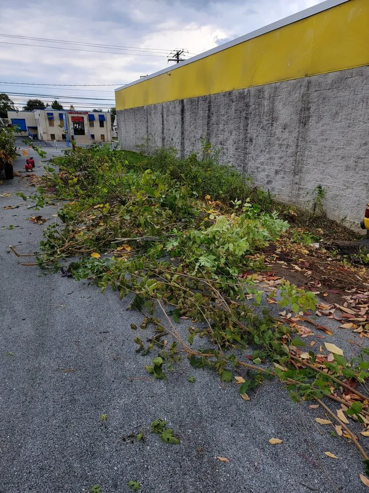 Affordable garden landscaping for homes across Carlisle, PA - RJR Landscaping