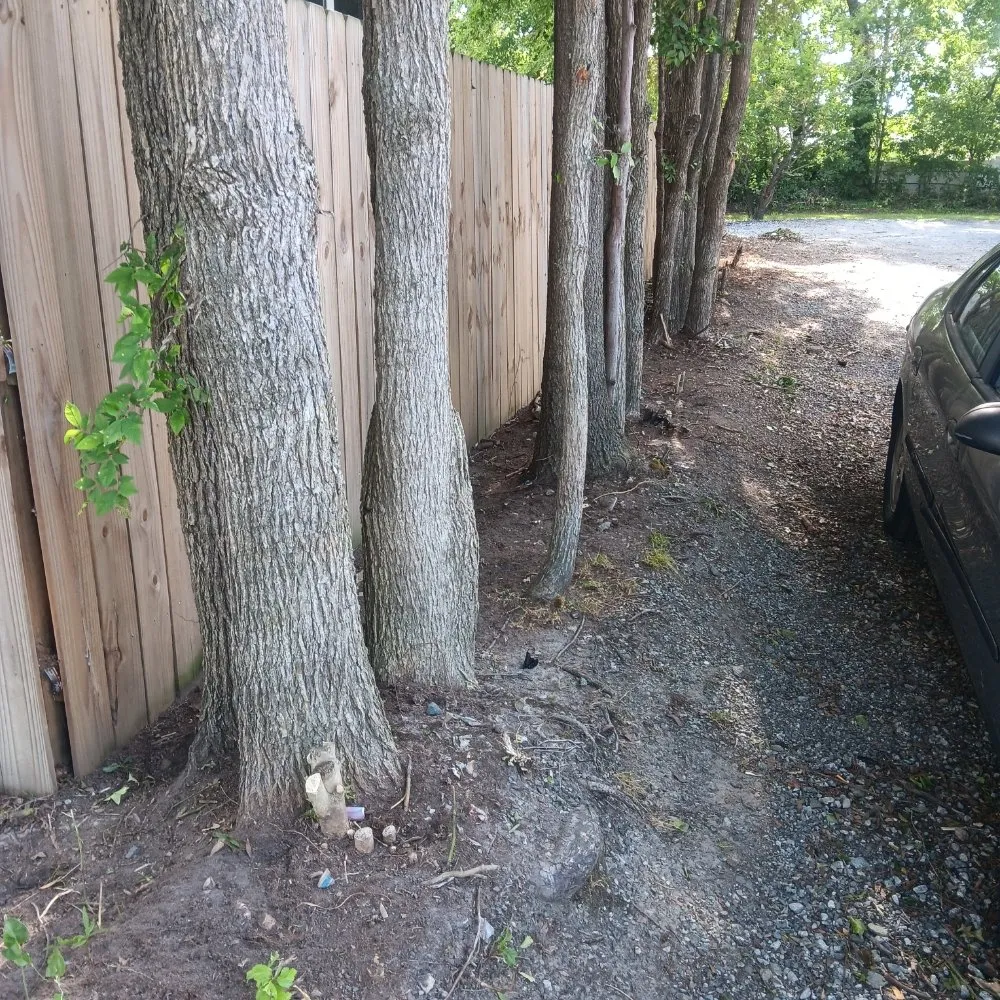 Local lawn care service in Greensboro, NC - Rjs Landscaping & Multi Purpose