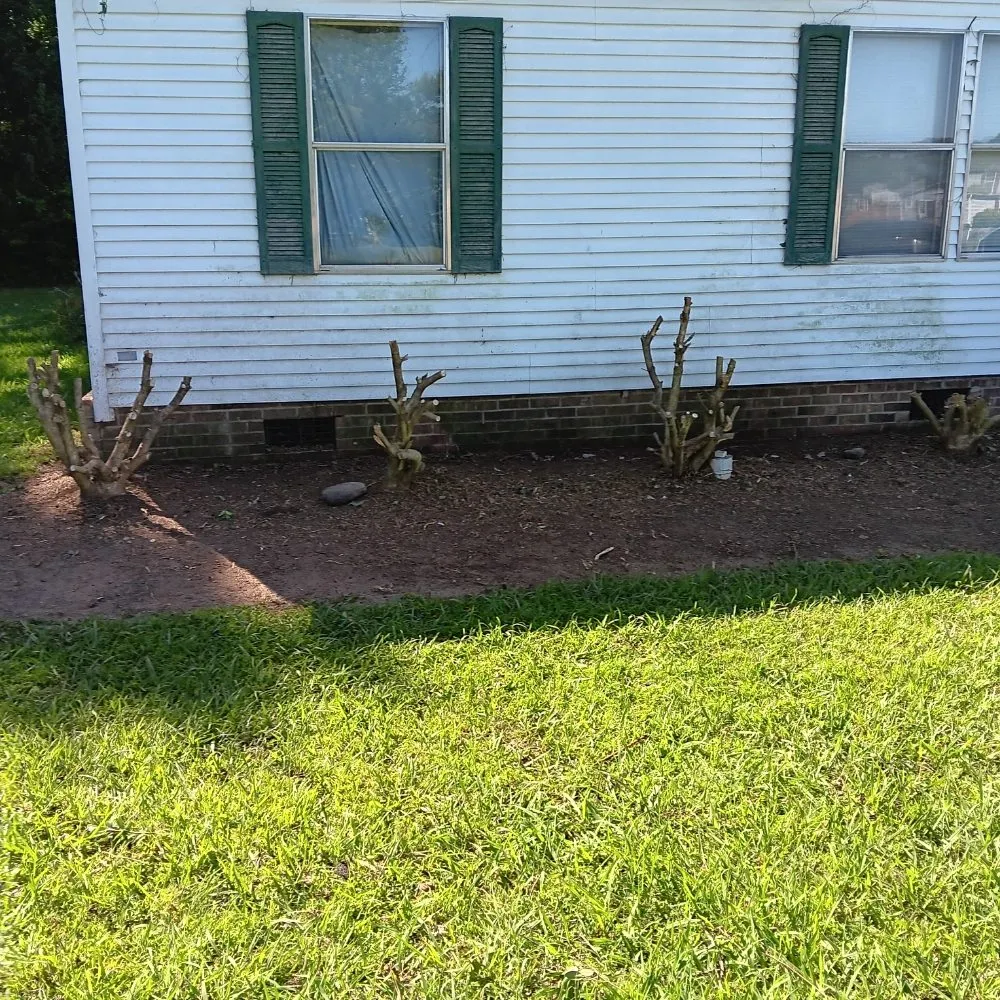 Professional lawn care service for year-round maintenance in Greensboro, NC by Rjs Landscaping & Multi Purpose