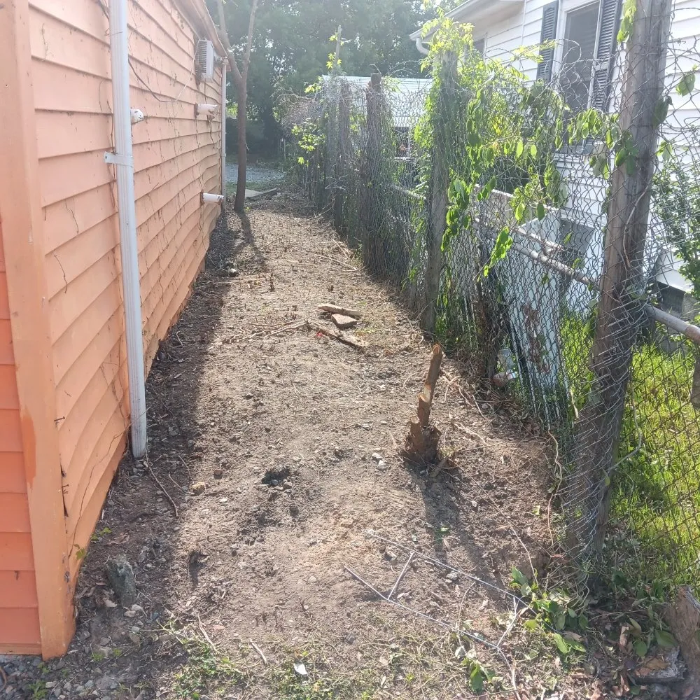 Expert yard maintenance in Greensboro, NC by Rjs Landscaping & Multi Purpose