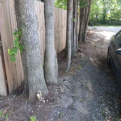 Rjs Landscaping & Multi Purpose Logo