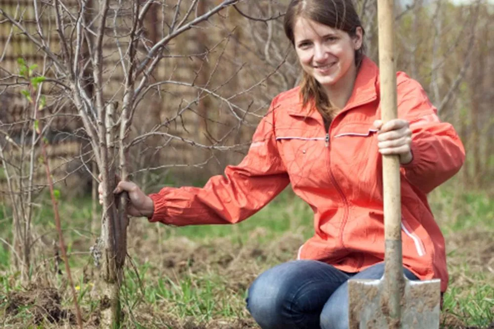 Reliable yard maintenance in Aurora, CO - R&J's Landscaping