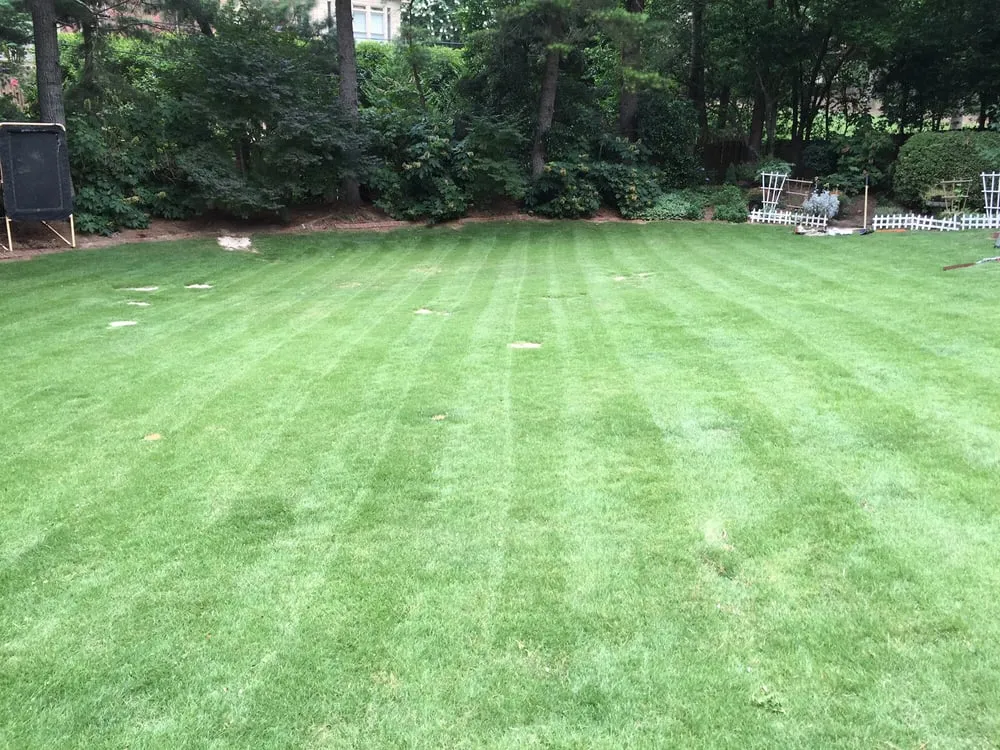 Custom garden landscaping in Birmingham, AL by Rjs Landscaping