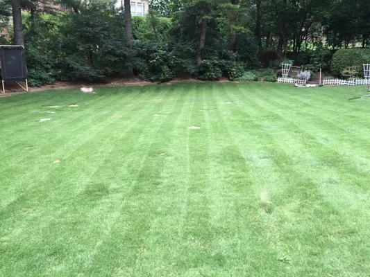 Rjs Landscaping Logo