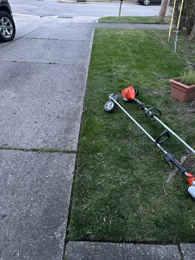 Reliable yard cleanup service experts serving Grand Rapids, MI - RJ’s Landscaping