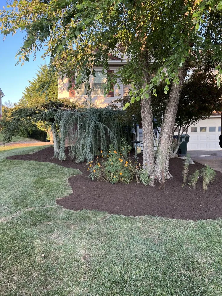 Professional landscaping services experts serving Johnson City, TN - RJS Landscaping