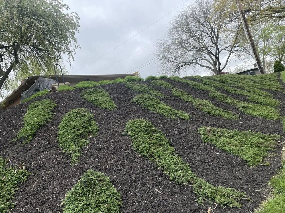 Top-rated yard cleanup service experts serving Dover, OH - Rj's Lawn & Landscaping