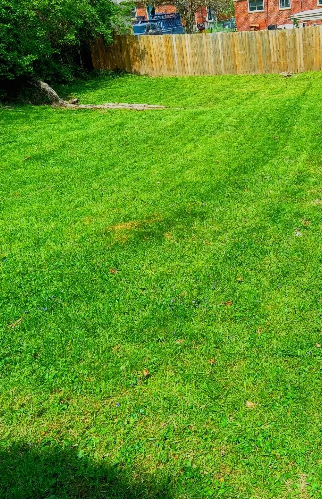 Reliable yard cleanup service in Covington, KY - RJs Lawn Care & Power Washing services