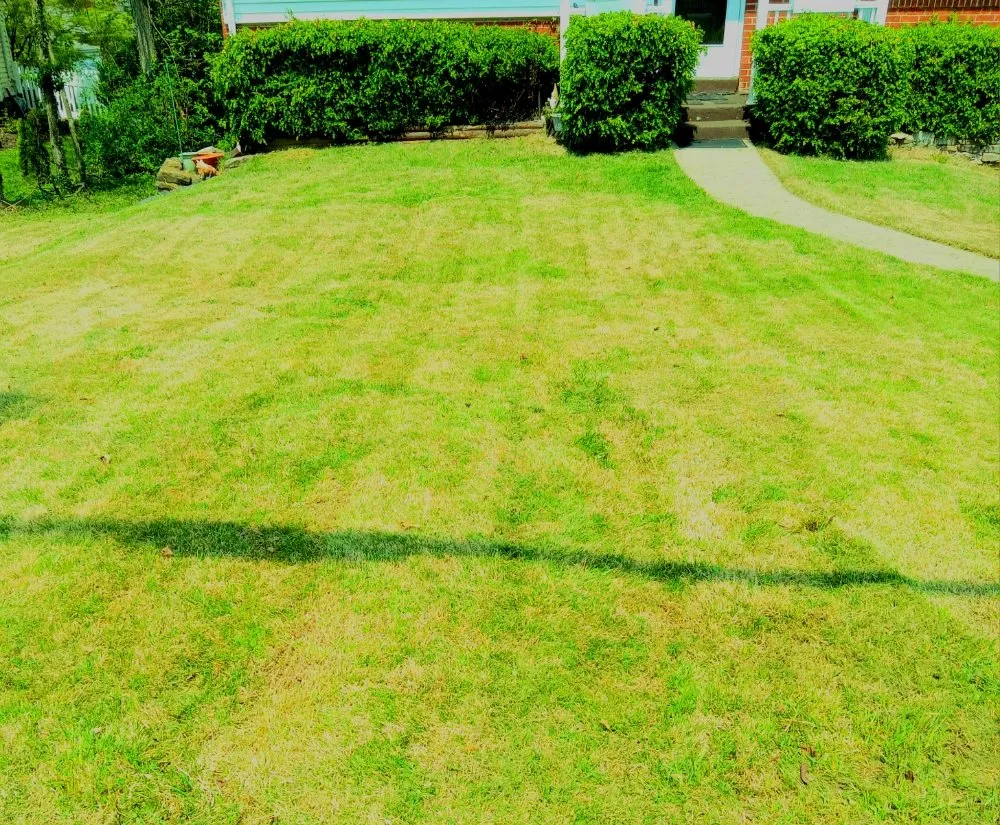 Professional garden landscaping experts serving Covington, KY - RJs Lawn Care & Power Washing services