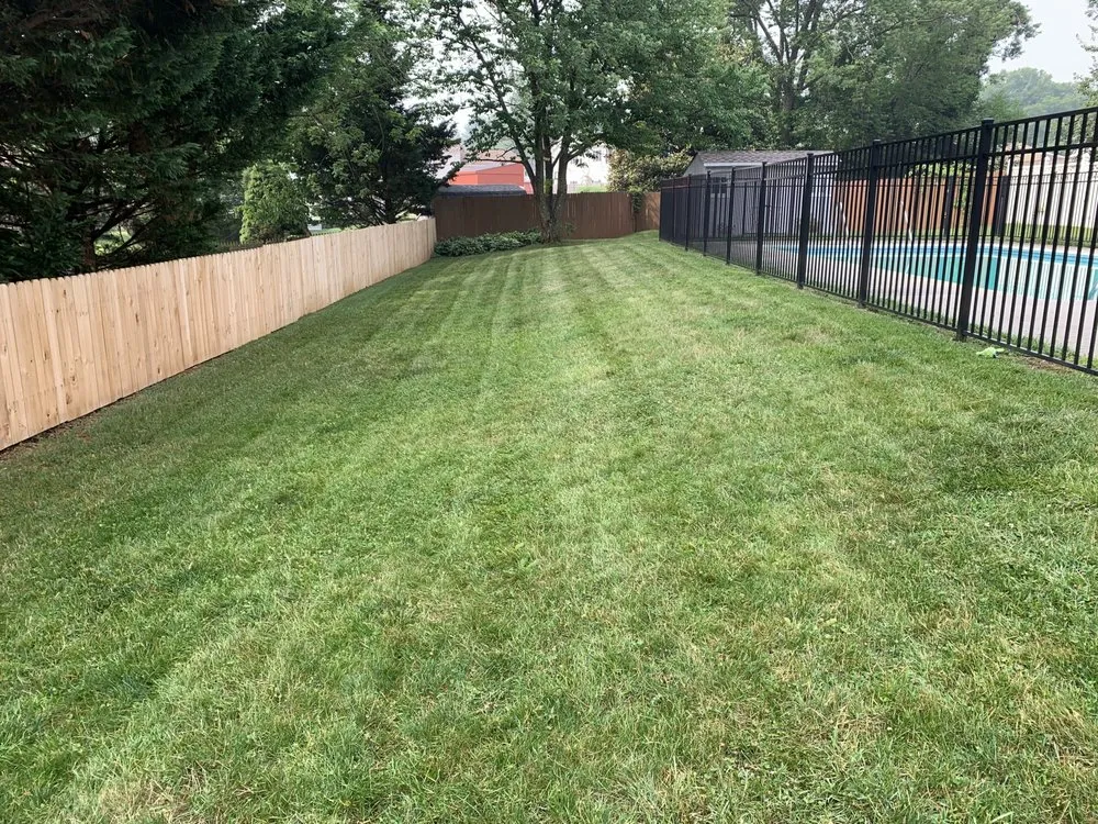 Local landscaping services for year-round maintenance across Bel Air, MD - RJ's Lawn Mowing