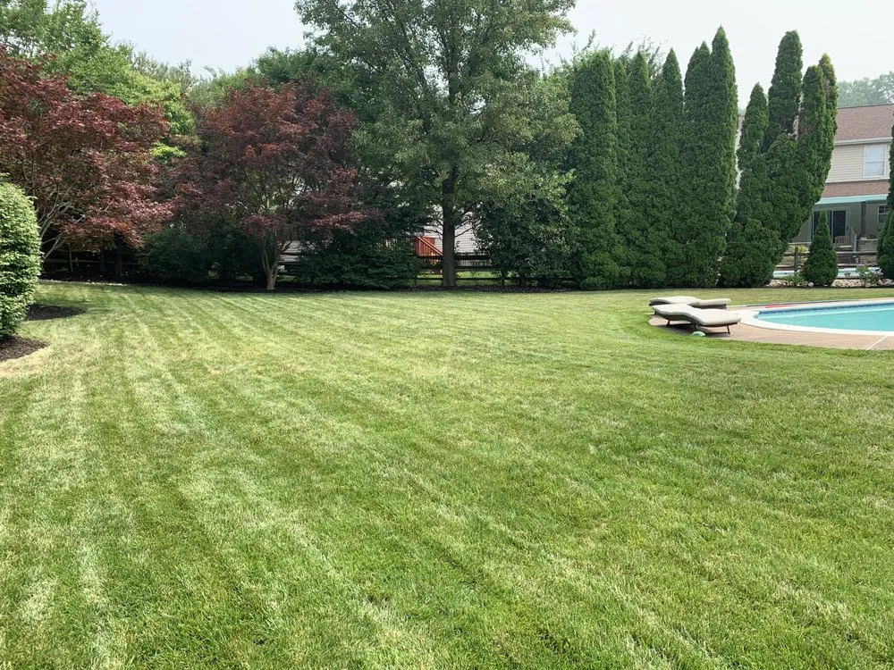 Custom landscape installation near you in Bel Air, MD by RJ's Lawn Mowing
