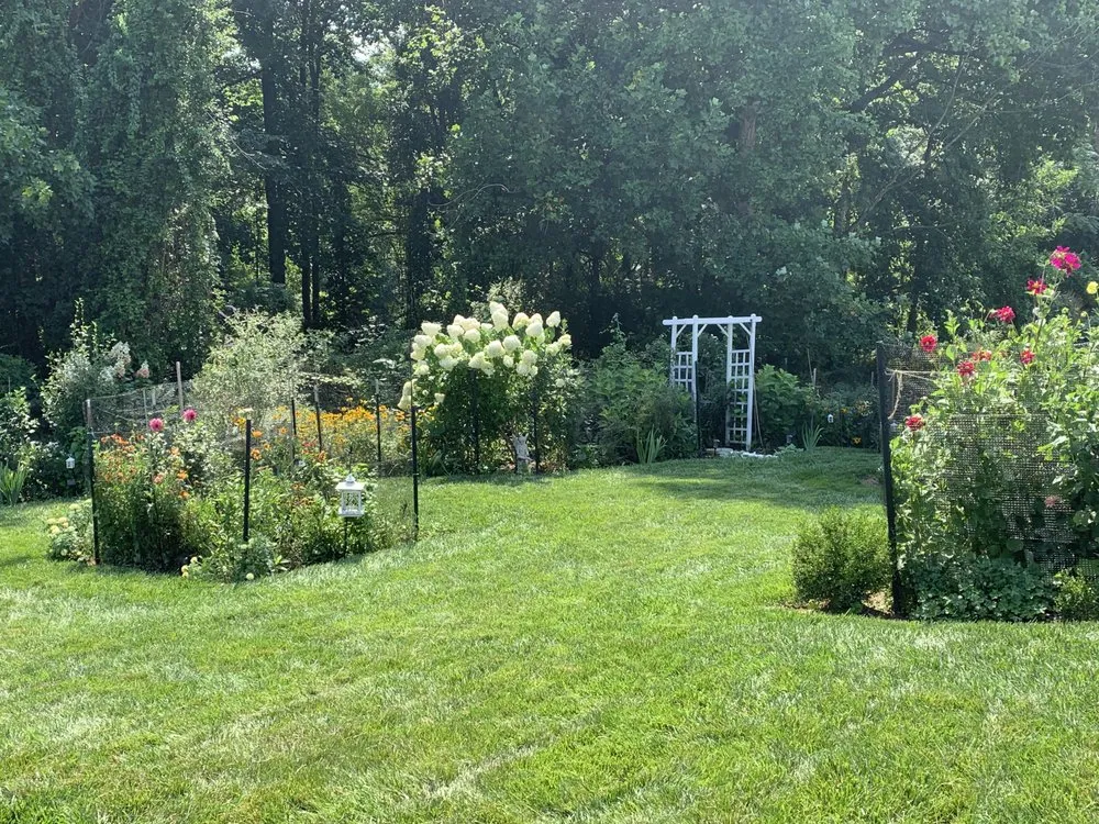 Reliable residential landscaping experts serving Bel Air, MD - RJ's Lawn Mowing