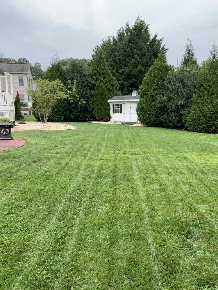 Reliable yard cleanup service with custom design in Bel Air, MD by RJ's Lawn Mowing