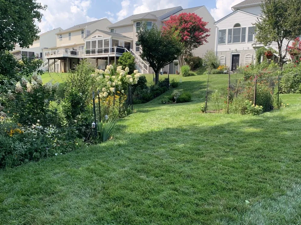 Affordable yard cleanup service for homes in Bel Air, MD by RJ's Lawn Mowing