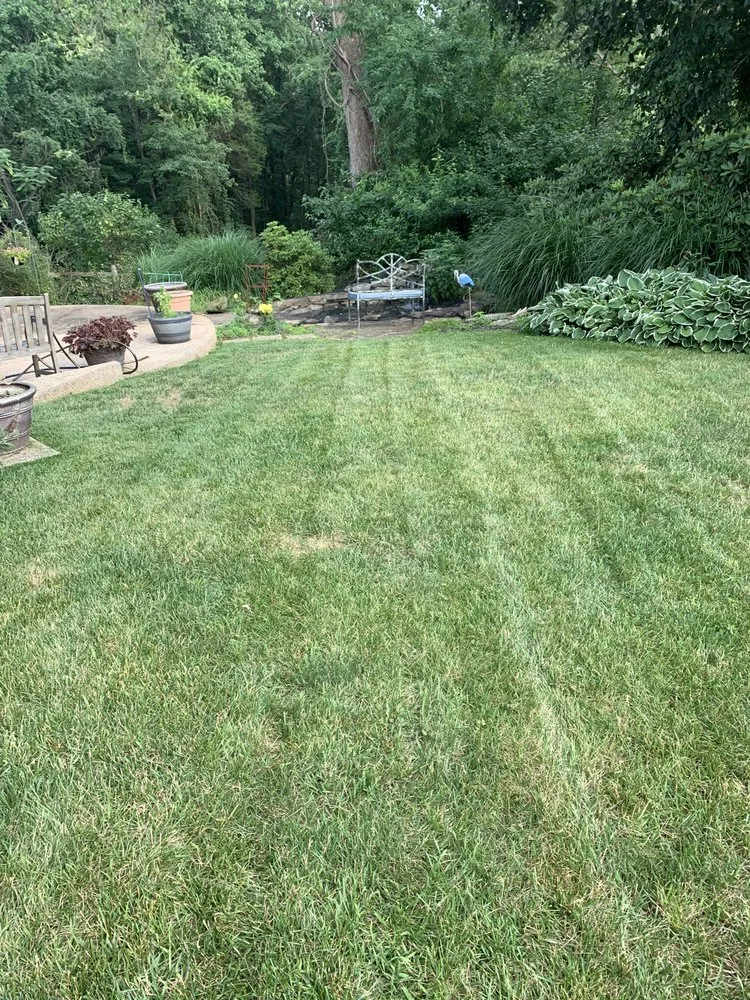 Custom yard cleanup service for beautiful yards in Bel Air, MD by RJ's Lawn Mowing