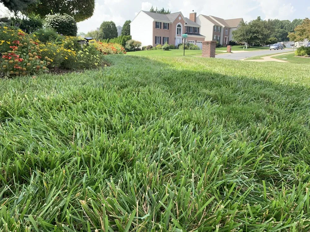 Custom outdoor landscaping experts serving Bel Air, MD - RJ's Lawn Mowing