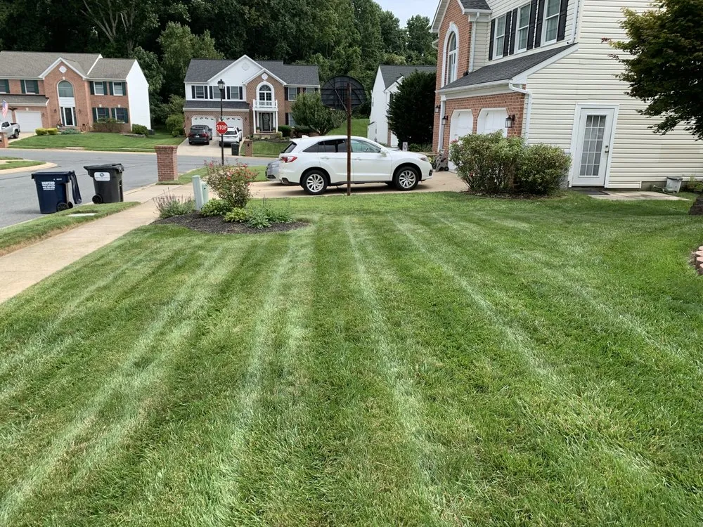 Custom landscape installation for beautiful yards across Bel Air, MD - RJ's Lawn Mowing