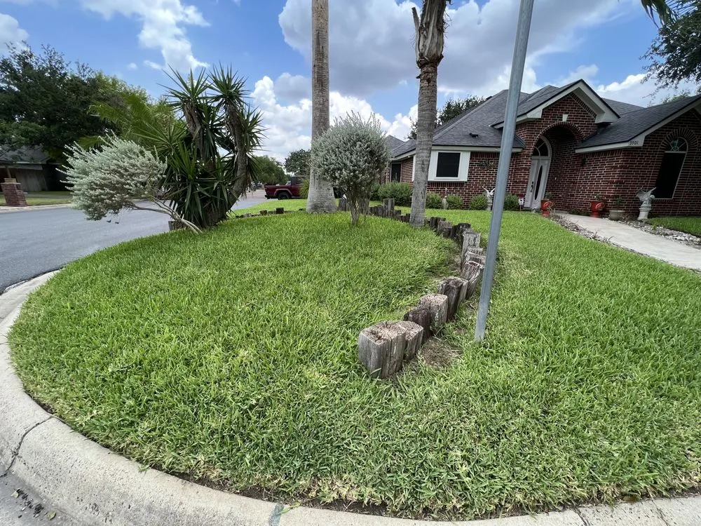 Trusted yard maintenance experts serving Harlingen, TX - RJ’s Lawn Service