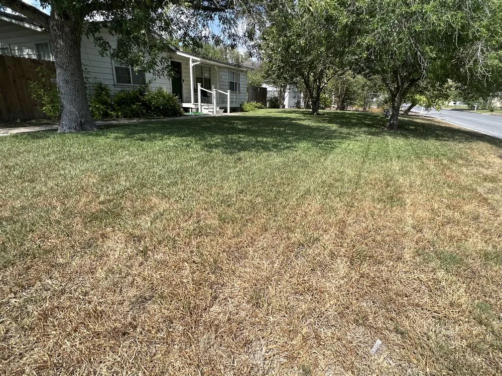 Top-rated yard cleanup service near you in Harlingen, TX by RJ’s Lawn Service