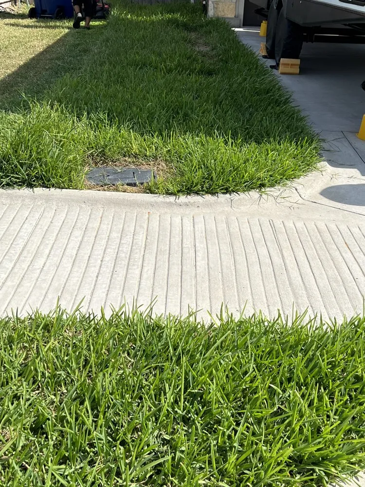 Professional yard maintenance for year-round maintenance in Harlingen, TX by RJ’s Lawn Service