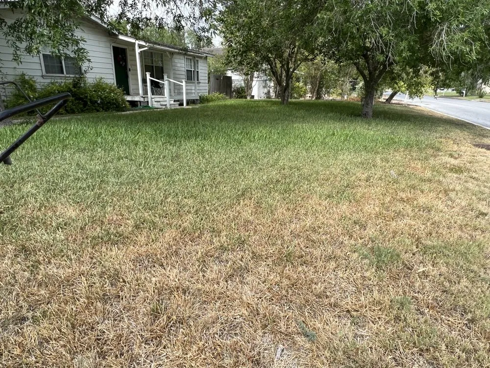 Custom residential landscaping in Harlingen, TX - RJ’s Lawn Service