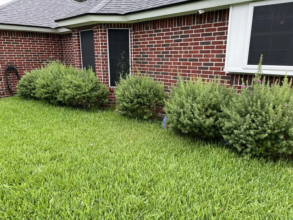 Reliable outdoor landscaping for outdoor upgrades across Harlingen, TX - RJ’s Lawn Service