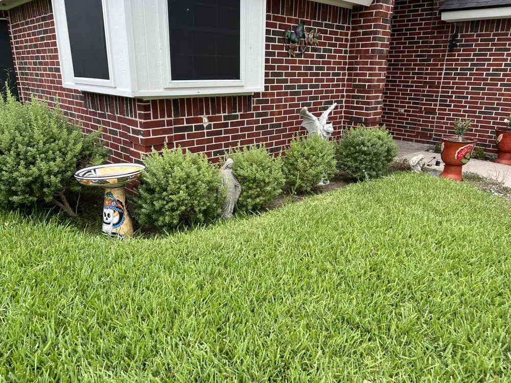 Affordable yard maintenance for homes across Harlingen, TX - RJ’s Lawn Service