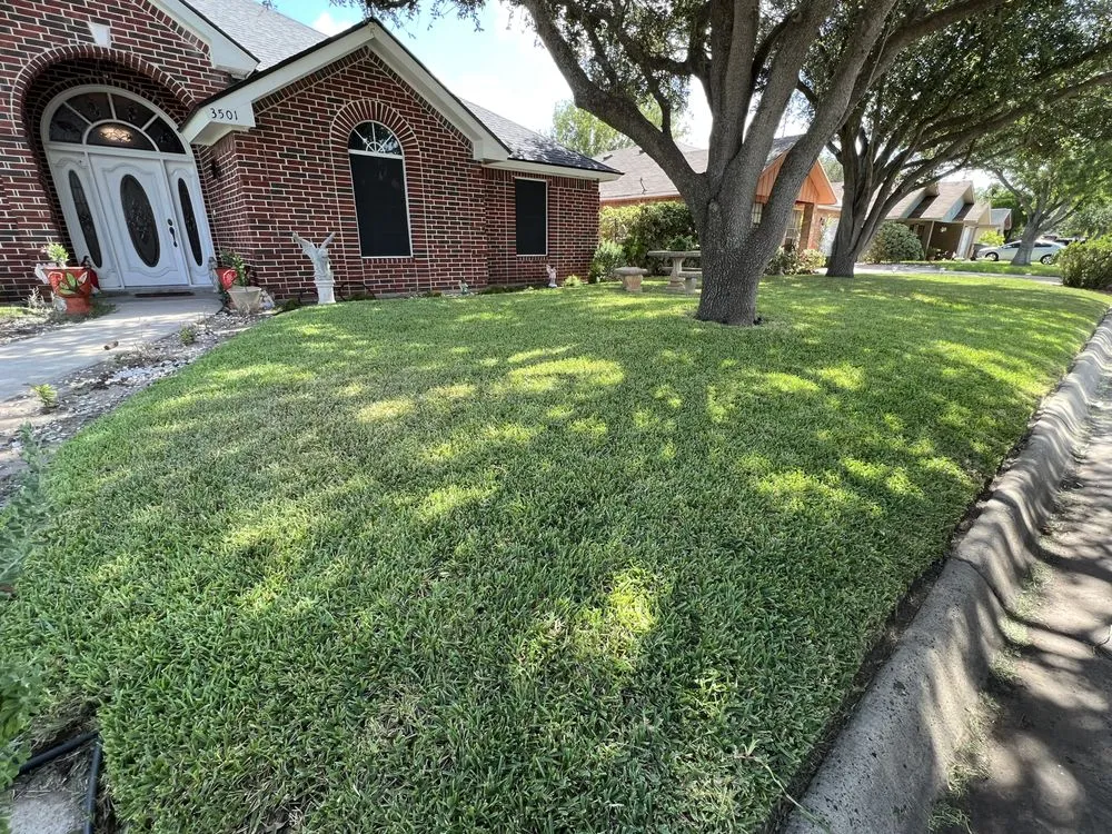 Custom lawn care service experts serving Harlingen, TX - RJ’s Lawn Service