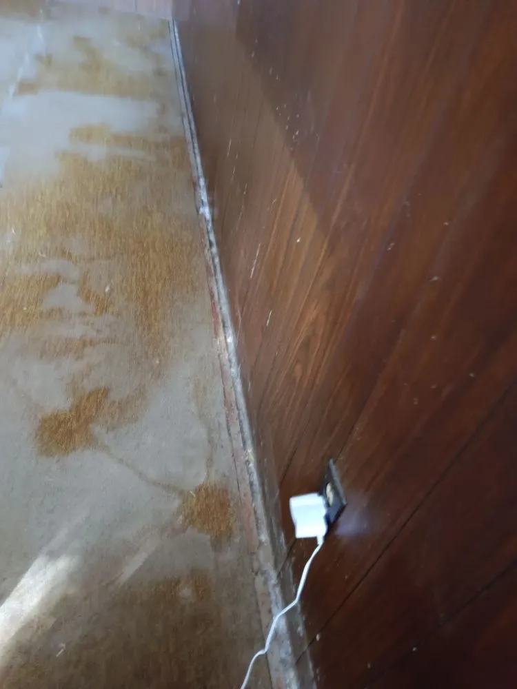 Custom lawn mowing service for year-round maintenance across Porterville, CA - RJ's Lawncare and Handyman service